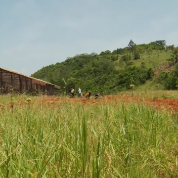 Watch: 400 Acre Agro-Industrial Project Coming to Lakes Pen