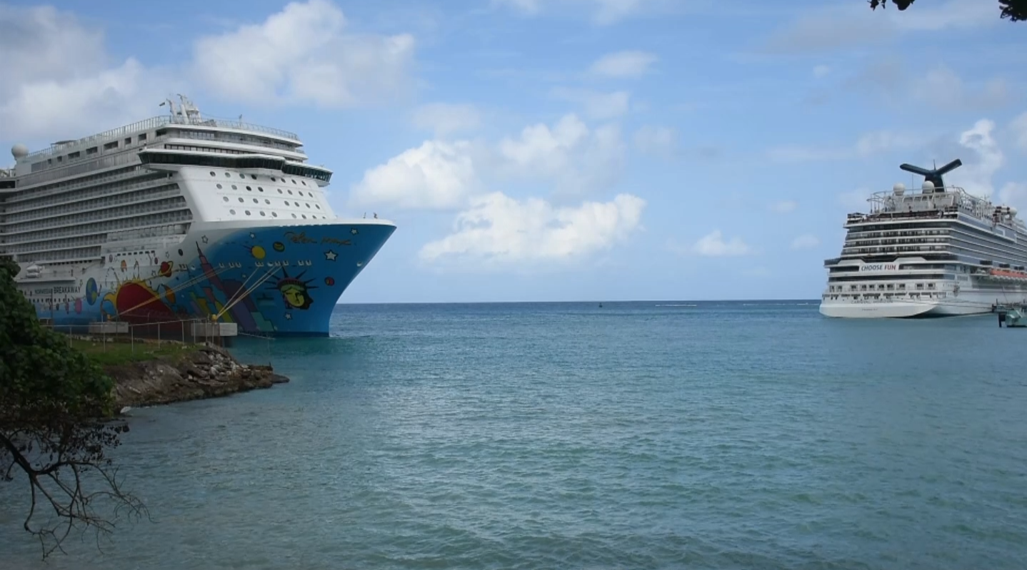 Screening Cruise Ship Passengers For Coronavirusa