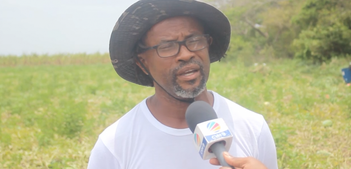 St. Catherine Farmers Facing Water Woes