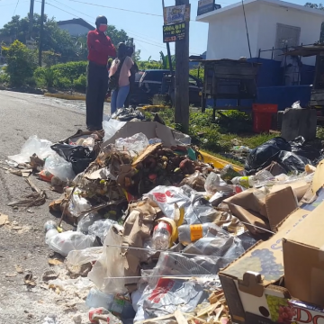 Linstead Councillor Frustrated with NSWMA and Garbage Crisis 